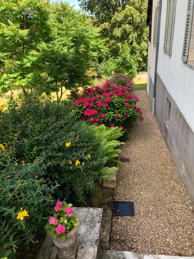 Chateau Saint Claude An Der Saone Mantoche エクステリア 写真